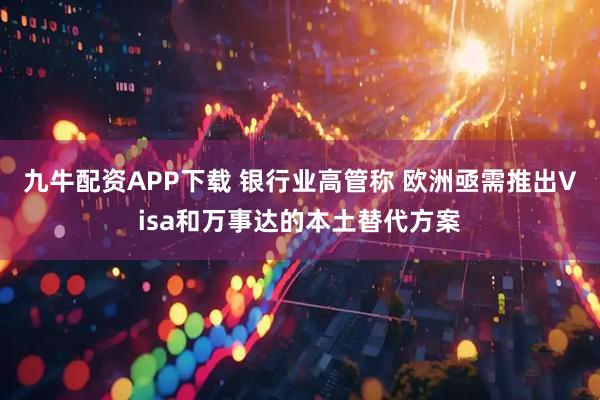 九牛配资APP下载 银行业高管称 欧洲亟需推出Visa和万事达的本土替代方案